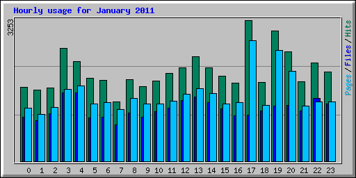 Hourly usage for January 2011